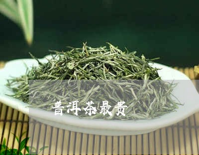 普洱茶最贵/2023090619693