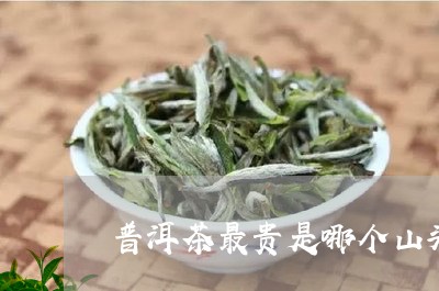 普洱茶最贵是哪个山头/2023080117048