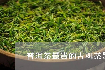 普洱茶最贵的古树茶是哪种/2023110495147