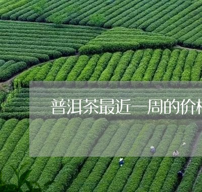 普洱茶最近一周的价格/2023092812625