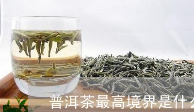 普洱茶最高境界是什么/2023100558714