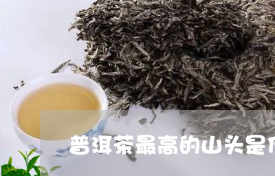 普洱茶最高的山头是什么/2023050786359