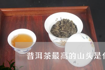 普洱茶最高的山头是什么茶/2023110426068