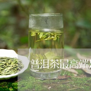 普洱茶最高端是哪个品牌好/2023083070794