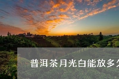 普洱茶月光白能放多久/2023072425349