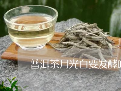 普洱茶月光白要发酵吗/2023073127278