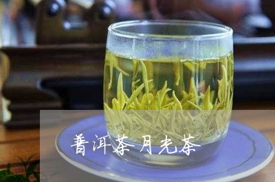 普洱茶月光茶/2023042960597