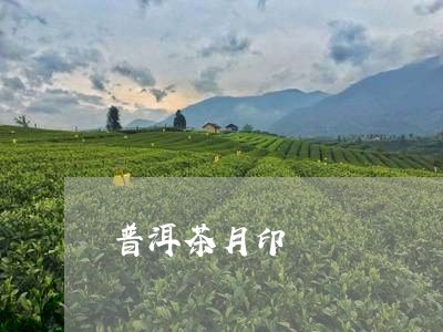 普洱茶月印/2023090641403