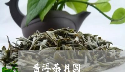 普洱茶月圆/2023102513625