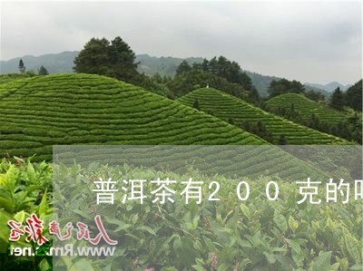 普洱茶有200克的吗/2023120625472