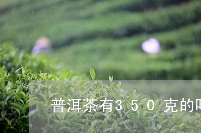 普洱茶有350克的吗/2023072423928