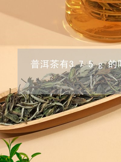 普洱茶有375g的吗/2023092839273