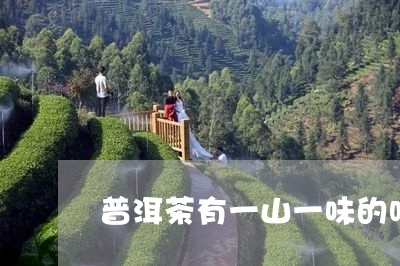 普洱茶有一山一味的吗/2023061453936