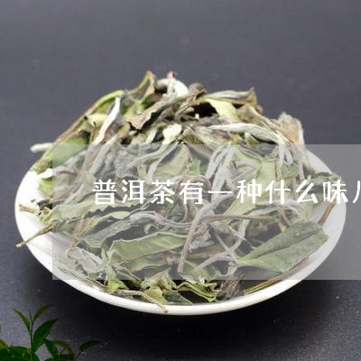 普洱茶有一种什么味儿好/2023083069481