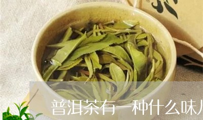 普洱茶有一种什么味儿好/2023121747370