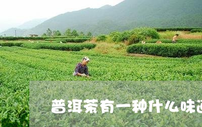 普洱茶有一种什么味道好/2023083045169