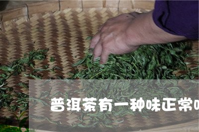 普洱茶有一种味正常吗/2023092692916