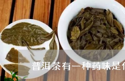 普洱茶有一种药味是什么茶/2023112401804