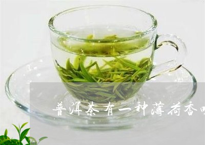 普洱茶有一种薄荷香味是什么茶/2023121795928