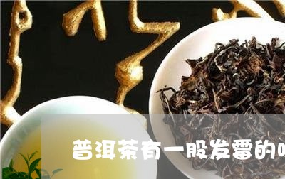 普洱茶有一股发霉的味/2023092625039