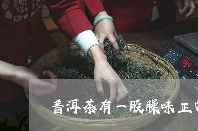 普洱茶有一股臊味正常吗/2023110154137