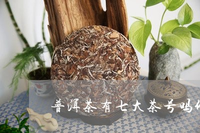 普洱茶有七大茶号吗价格/2023050604049