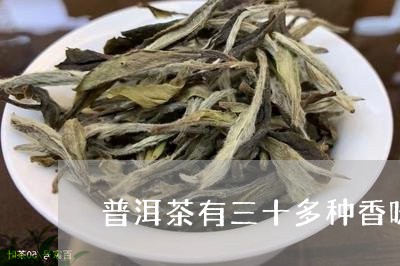 普洱茶有三十多种香味/2023072486959