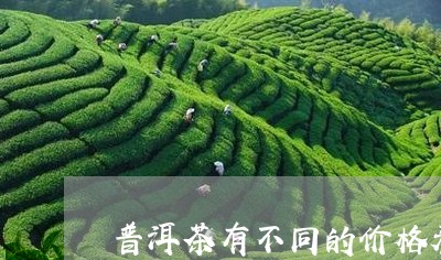 普洱茶有不同的价格表/2023061782705