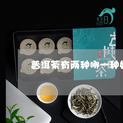 普洱茶有两种哪一种好/2023061457480