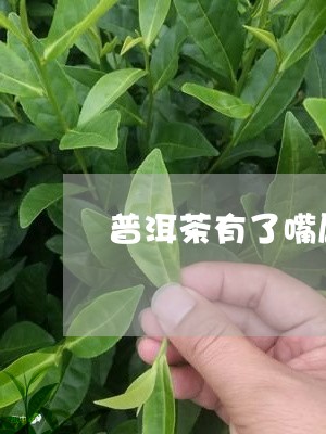 普洱茶有了嘴唇怎么办/2023061710383