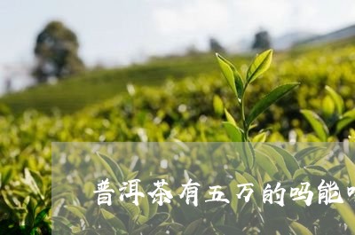 普洱茶有五万的吗能喝吗/2023110312714