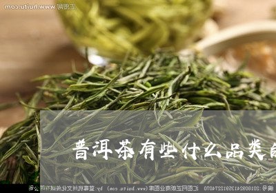 普洱茶有些什么品类的茶/2023083034935