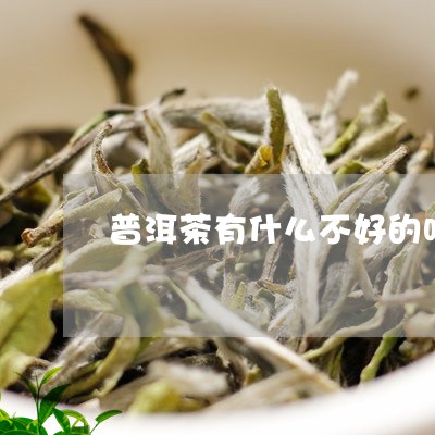 普洱茶有什么不好的吗/2023062224937