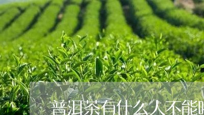 普洱茶有什么人不能喝/2023072164937