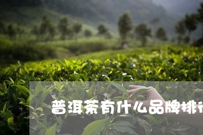 普洱茶有什么品牌排行好/2023082715058