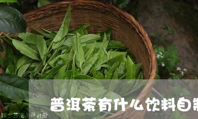 普洱茶有什么饮料自制/2023062486372