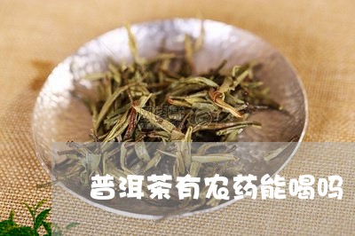 普洱茶有农药能喝吗/2023120589385