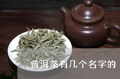 普洱茶有几个名字的/2023120515268