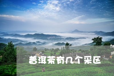 普洱茶有几个采区/2023120459483