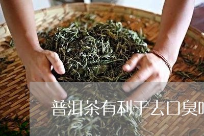 普洱茶有利于去口臭吗/2023072353927