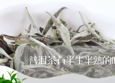 普洱茶有半生半熟的吗/2023092989702