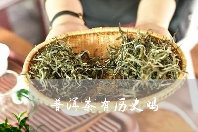 普洱茶有历史吗/2023120311715