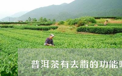 普洱茶有去脂的功能吗/2023092977471