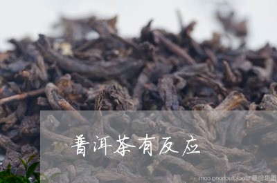 普洱茶有反应/2023042697195