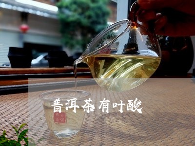 普洱茶有叶酸/2023042602512