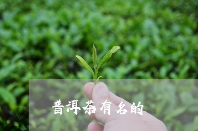 普洱茶有名的/2023042611364