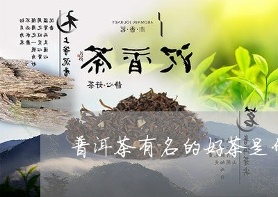 普洱茶有名的好茶是什么/2023103107279