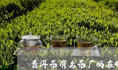 普洱茶有名茶厂吗在哪里/2023110175945