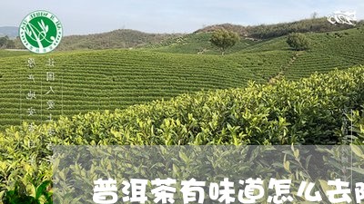 普洱茶有味道怎么去除/2023073138471