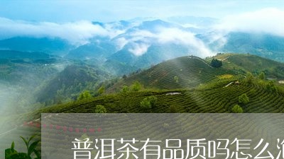 普洱茶有品质吗怎么泡才正确/2023110721581